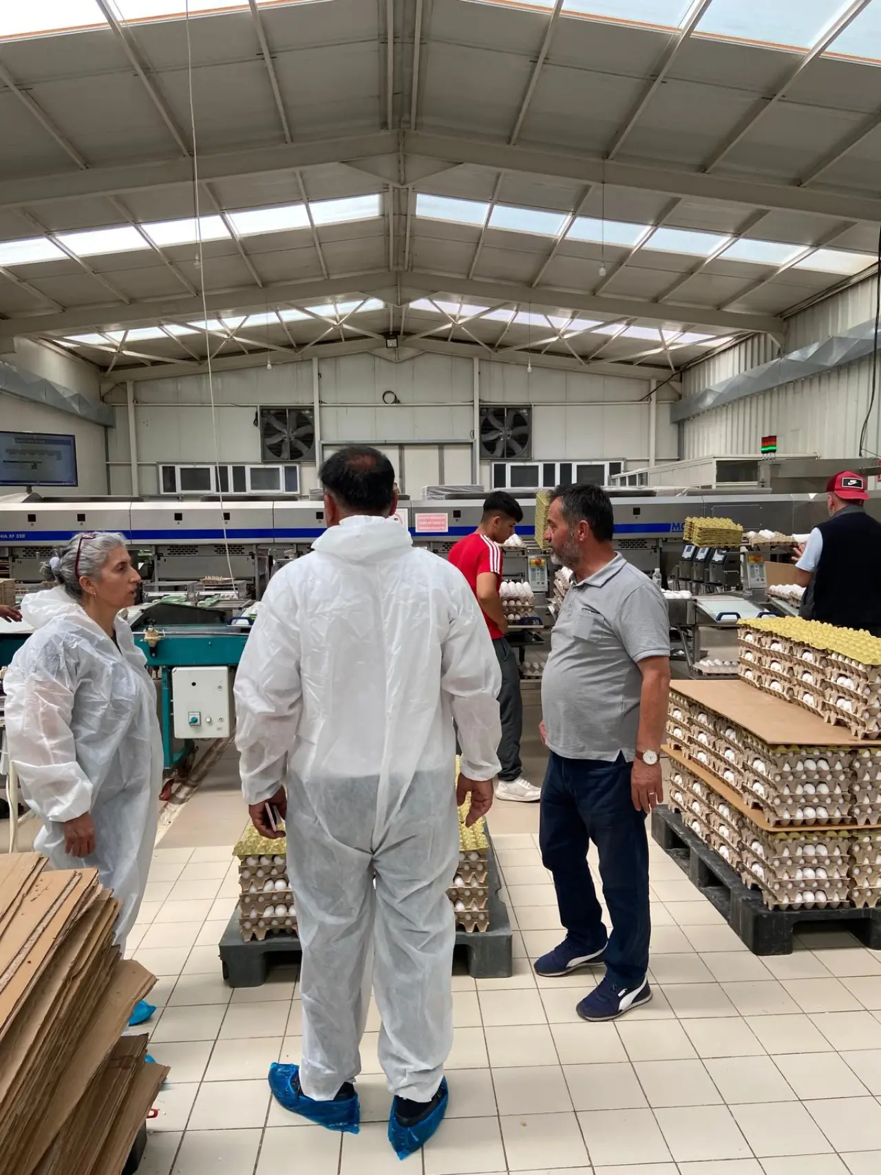 Yumurta Paketleme Tesisleri Denetlendi 2