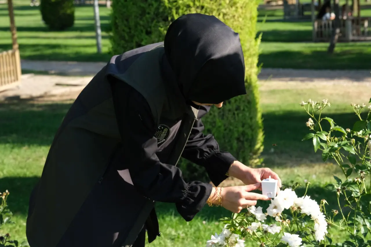 Yaprak Bitine Karşı Biyolojik Mücadele 5