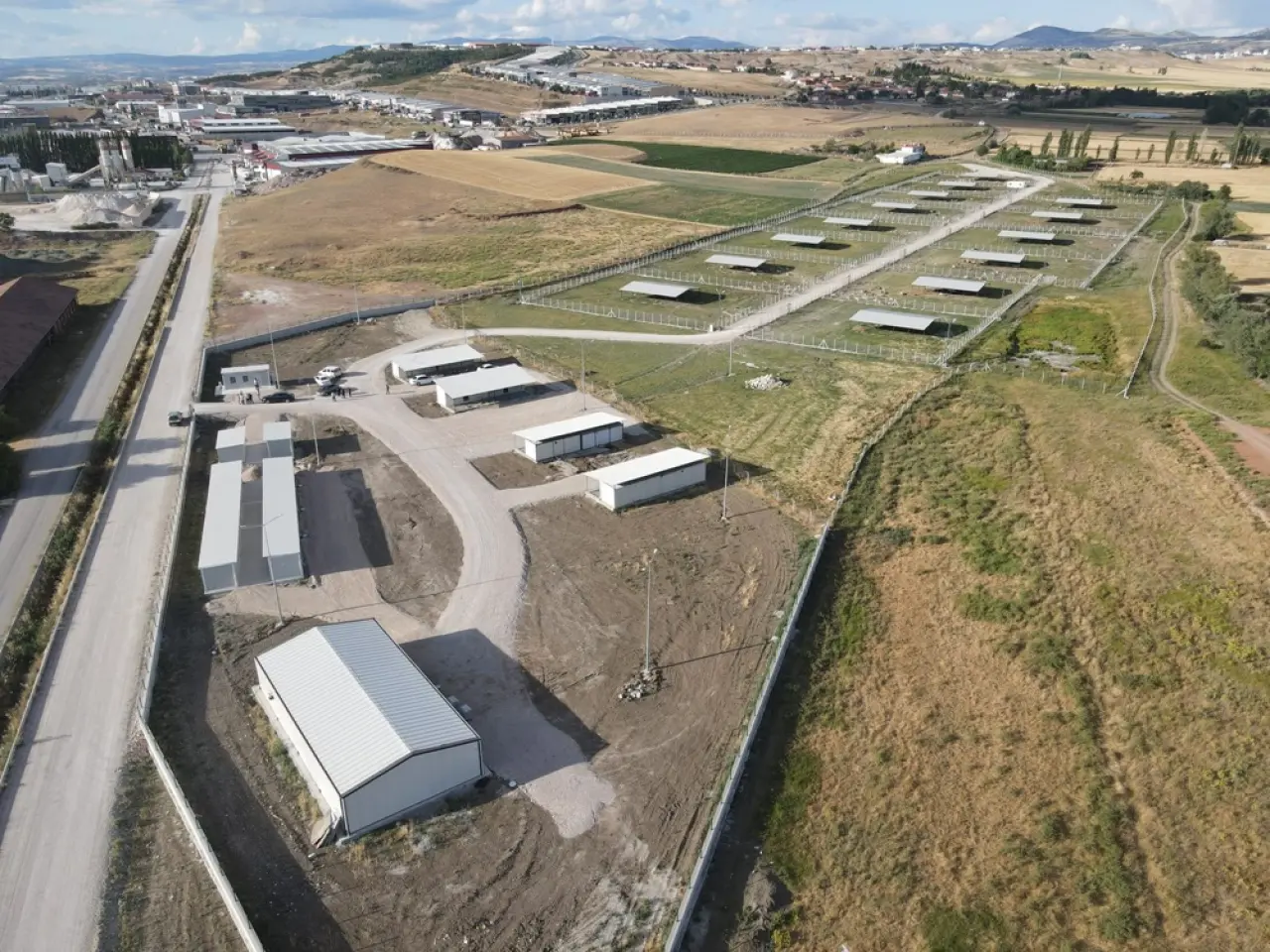 Doğal Yaşam Alanı’nda İnceleme 6