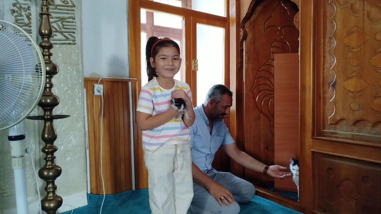 Kedi, Yavruları İle Camiye Sığındı 5