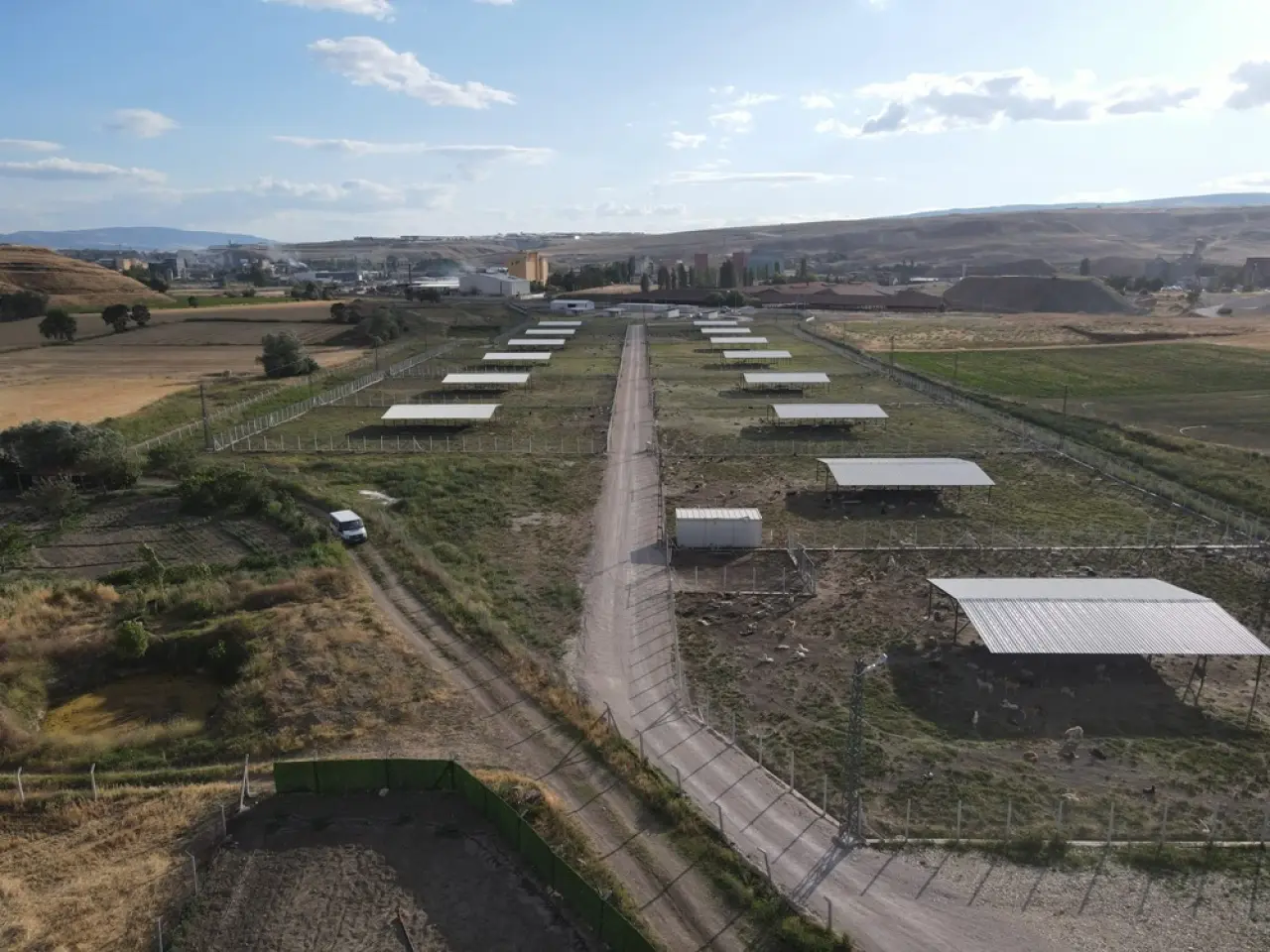 Doğal Yaşam Alanı’nda İnceleme 5