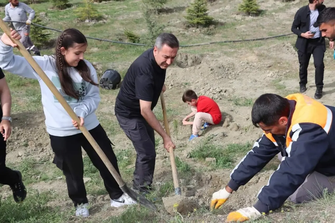 Sungurlu Daha da Yeşilleniyor 5