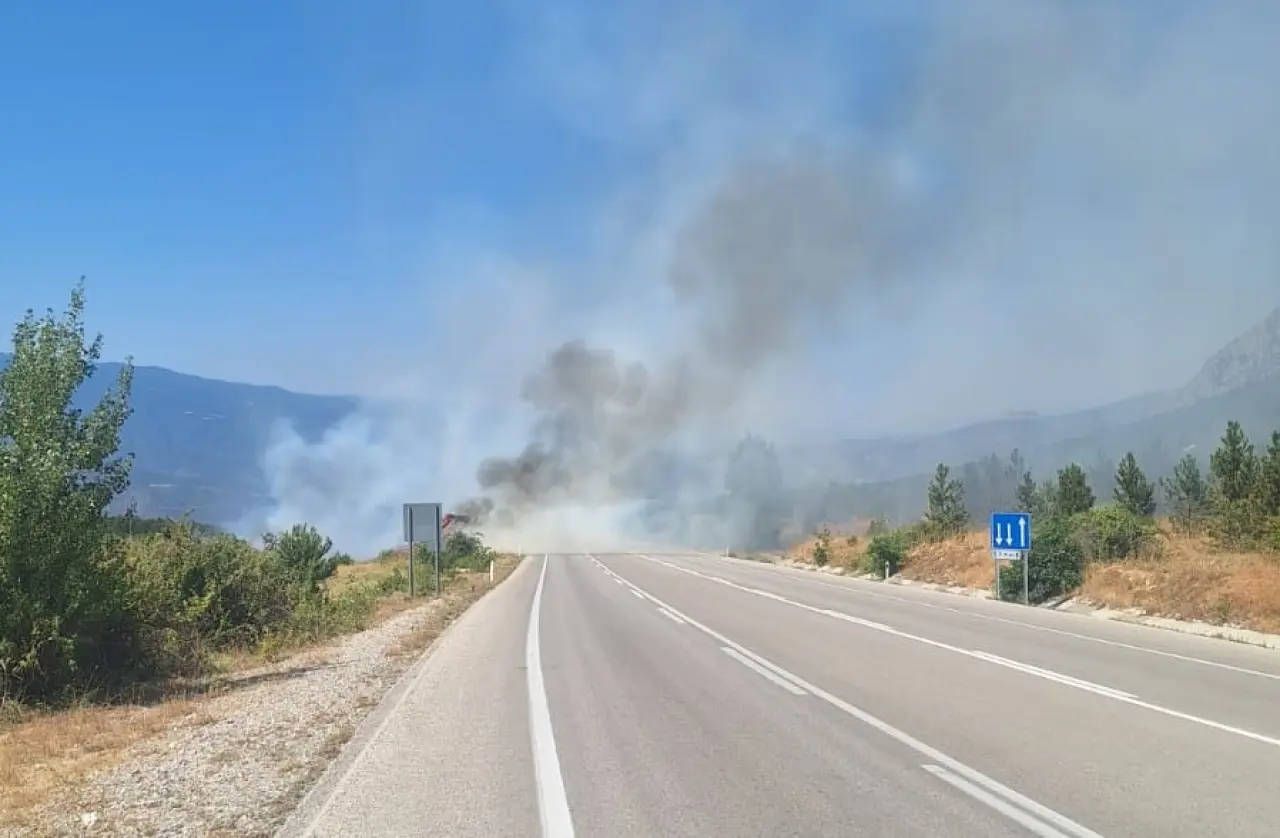 Ormanlık Alanda Çıkan Yangın Büyümeden Söndürüldü 2