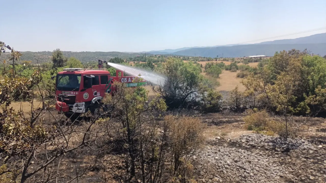 Ormanlık Alanda Çıkan Yangın Büyümeden Söndürüldü 3