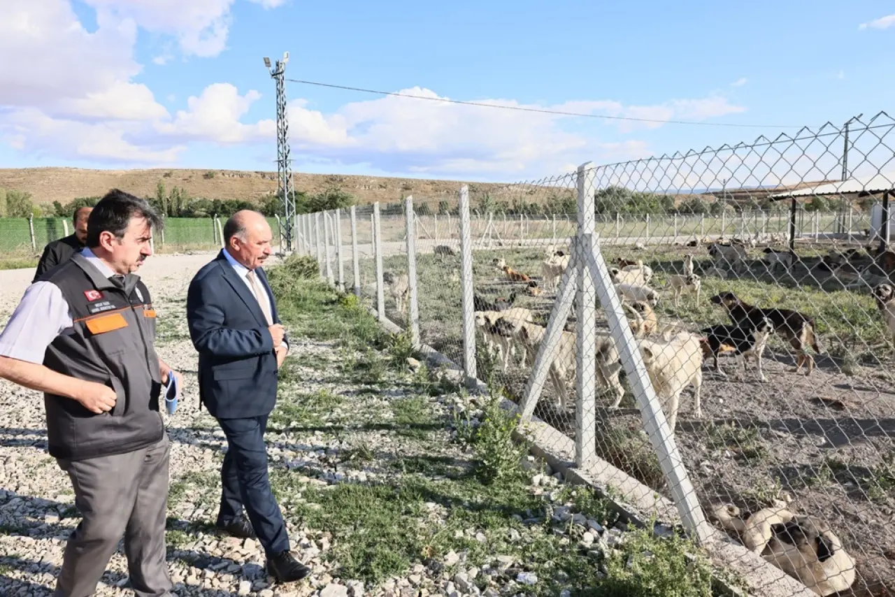 Doğal Yaşam Alanı’nda İnceleme 3