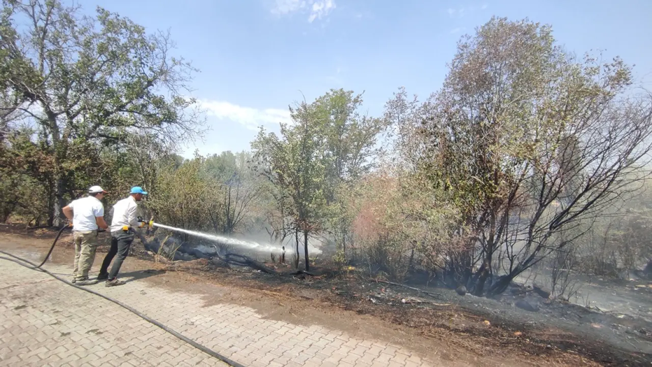 Yol Kenarına Atılan Atıklar Yangın Çıkardı 2