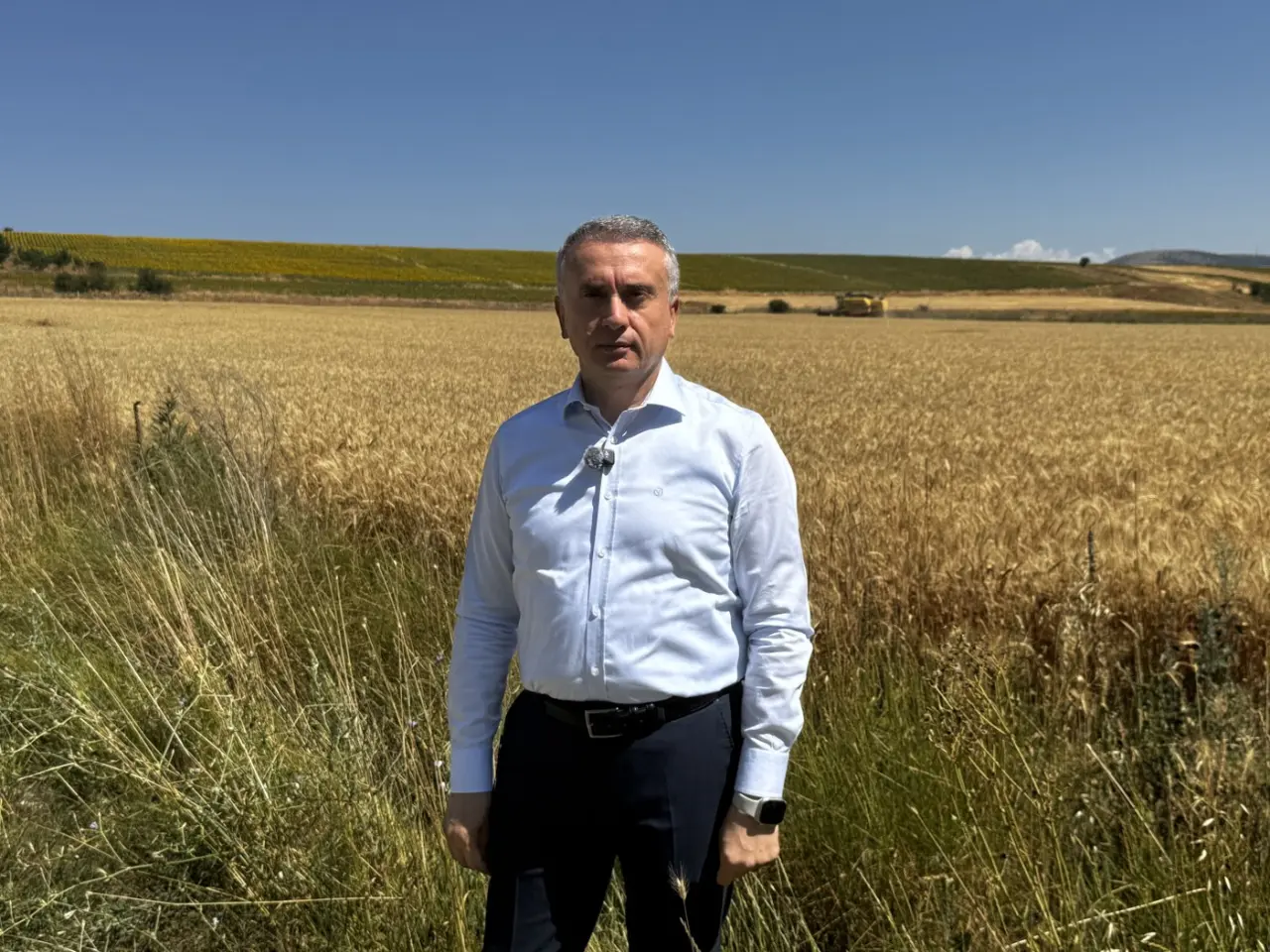 Belediyenin Tarlasındaki Buğday, İhtiyaç Sahiplerine Un Olacak 1