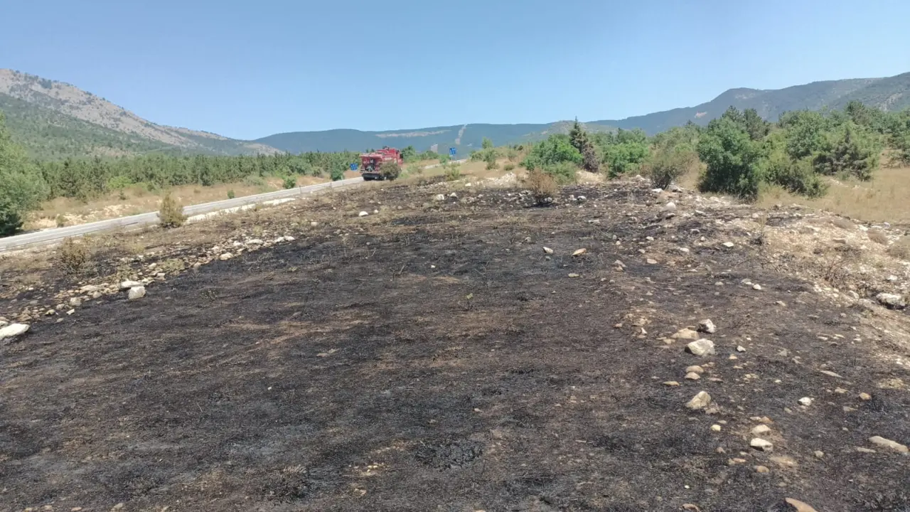 Ormanlık Alanda Çıkan Yangın Büyümeden Söndürüldü 4