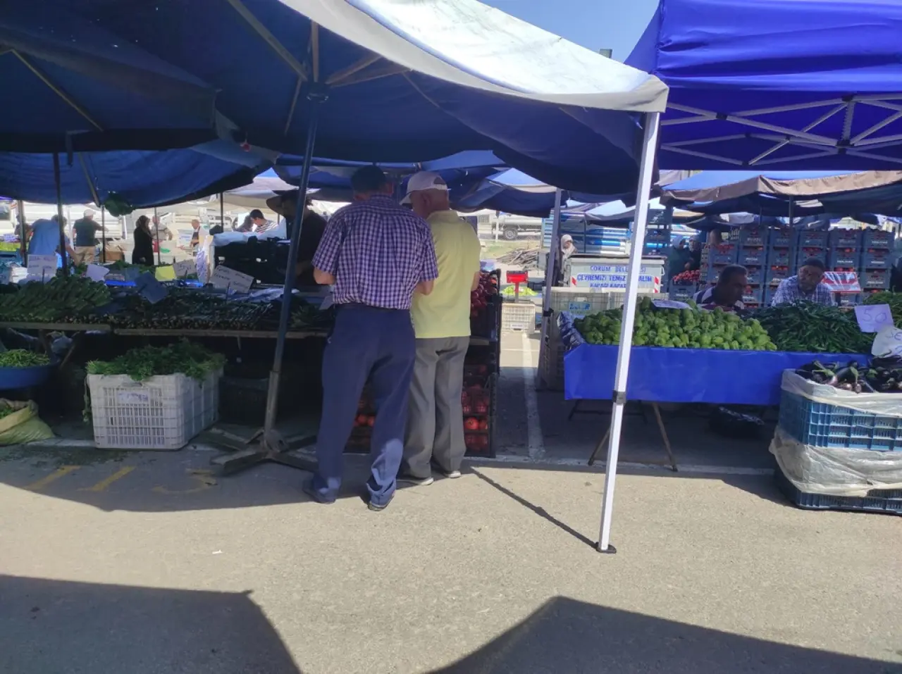 Pazarda Fiyatlar da Yüksek, Çeşit de Yok! 2