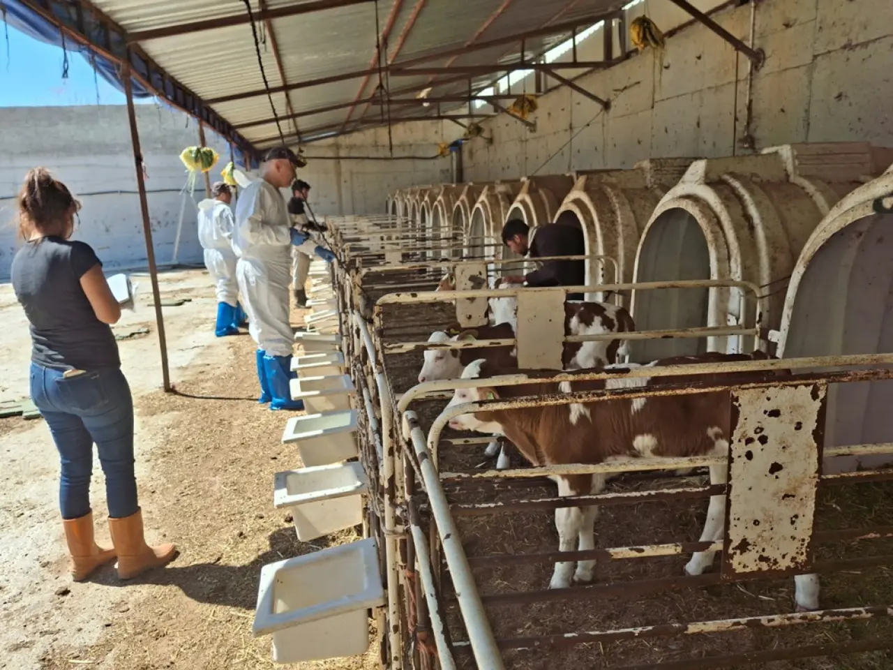 Üreticilere ‘Aşı’ Çağrısı 1
