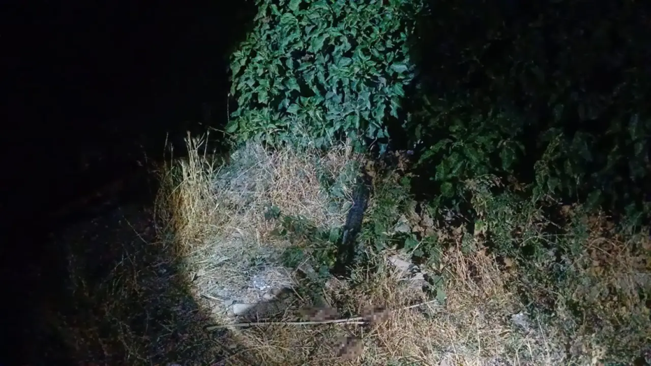 Sokak Ortasında Saldırıya Uğradı 1