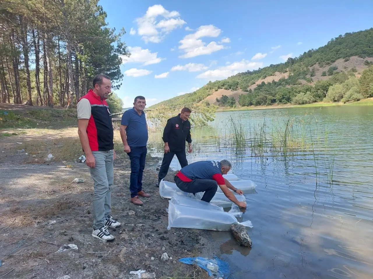 Baraj ve Göletlere 281 Bin Yavru Sazan Bırakıldı 6