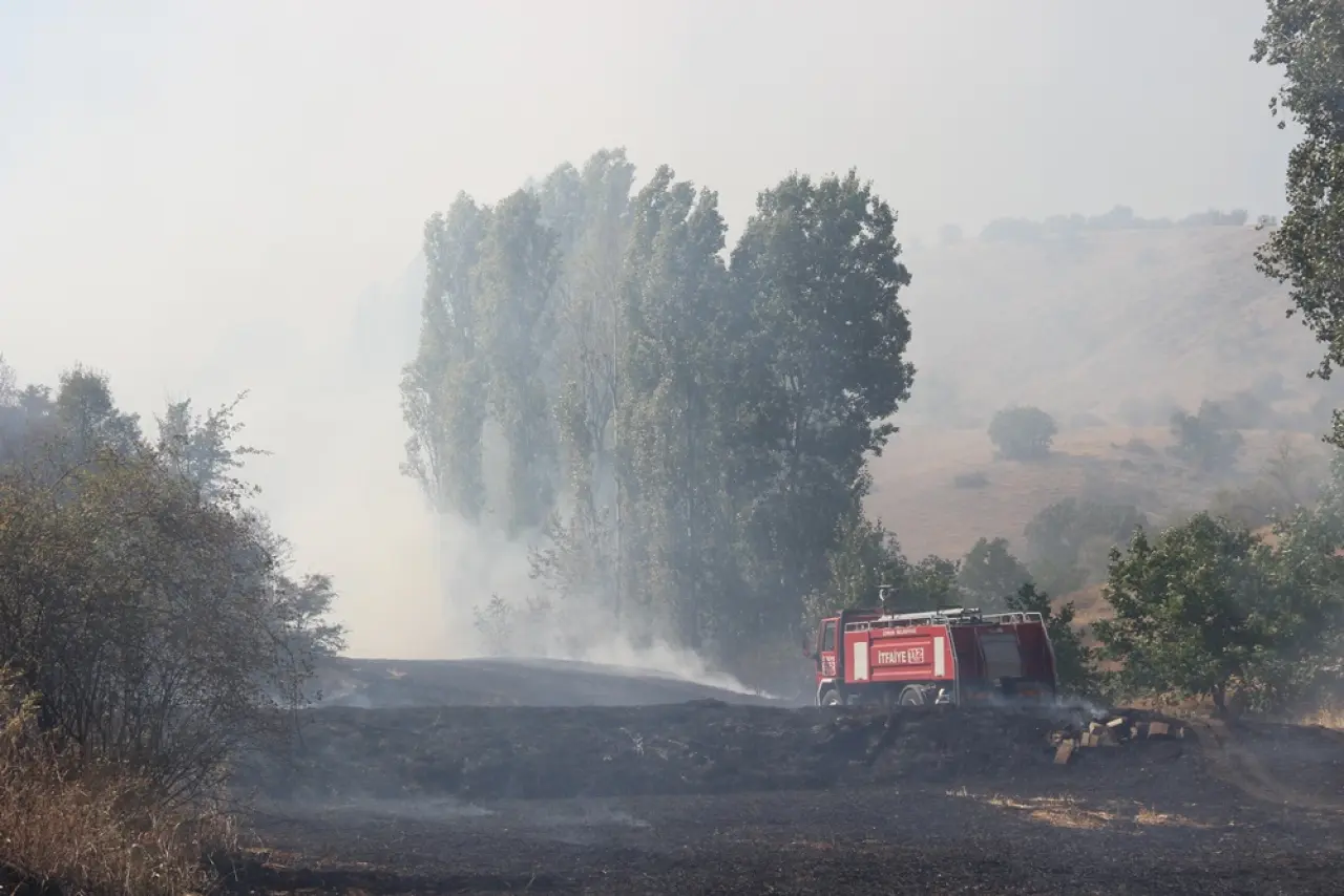 Tarlada Yangın Paniği: 1 Yaralı 5
