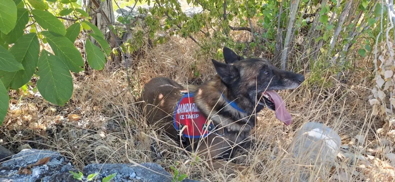 Aranan Yaşlı Adamın Son Görüntüleri 4