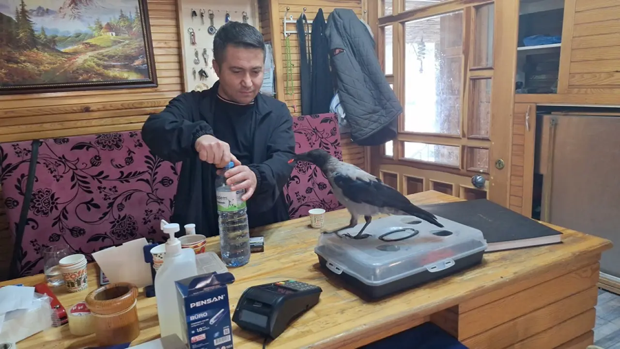 Vatandaş Kurtardı, İlçenin Maskotu Oldu 4