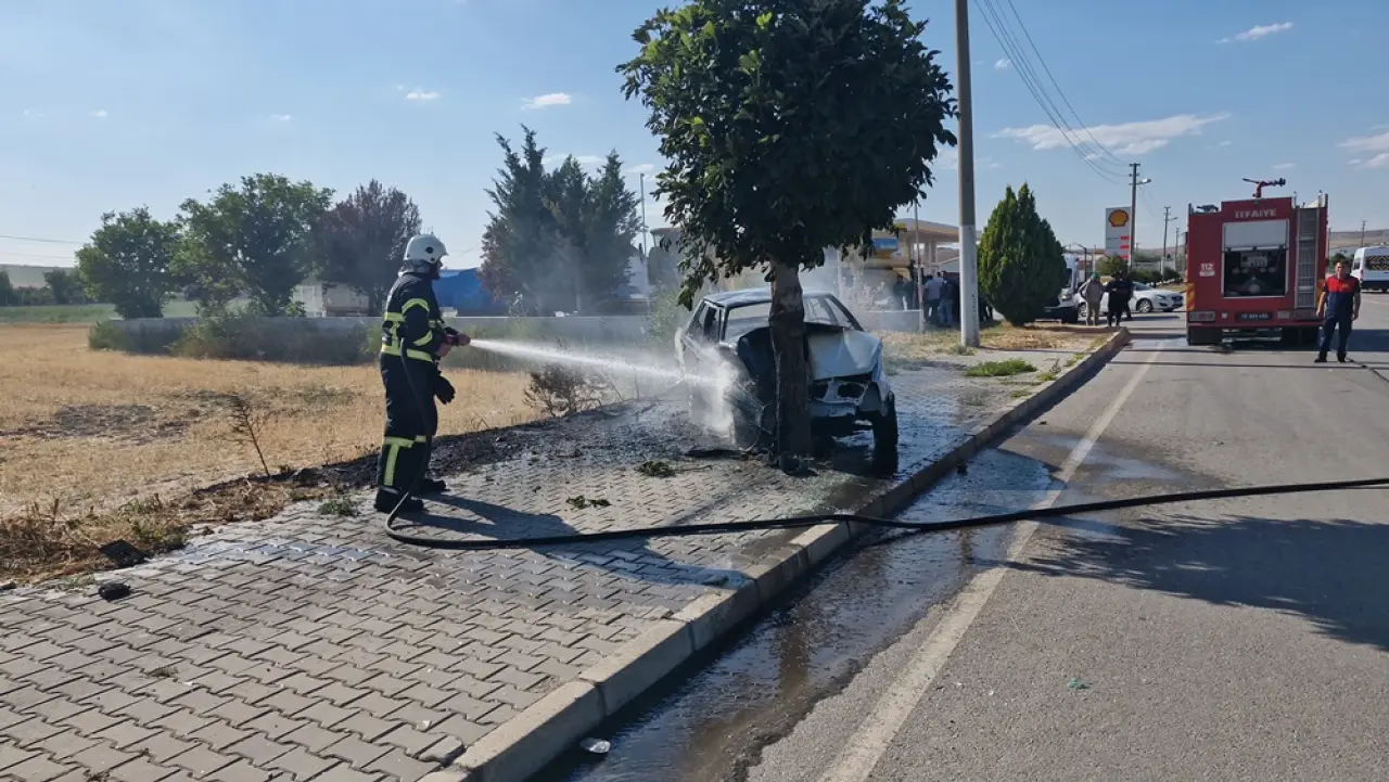 Ağaca Çarpan Otomobil Yandı 2