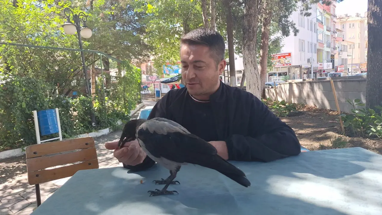 Vatandaş Kurtardı, İlçenin Maskotu Oldu 3