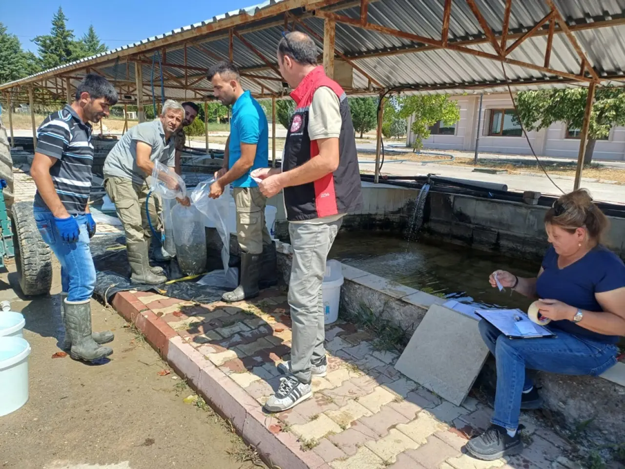 Baraj ve Göletlere 281 Bin Yavru Sazan Bırakıldı 2