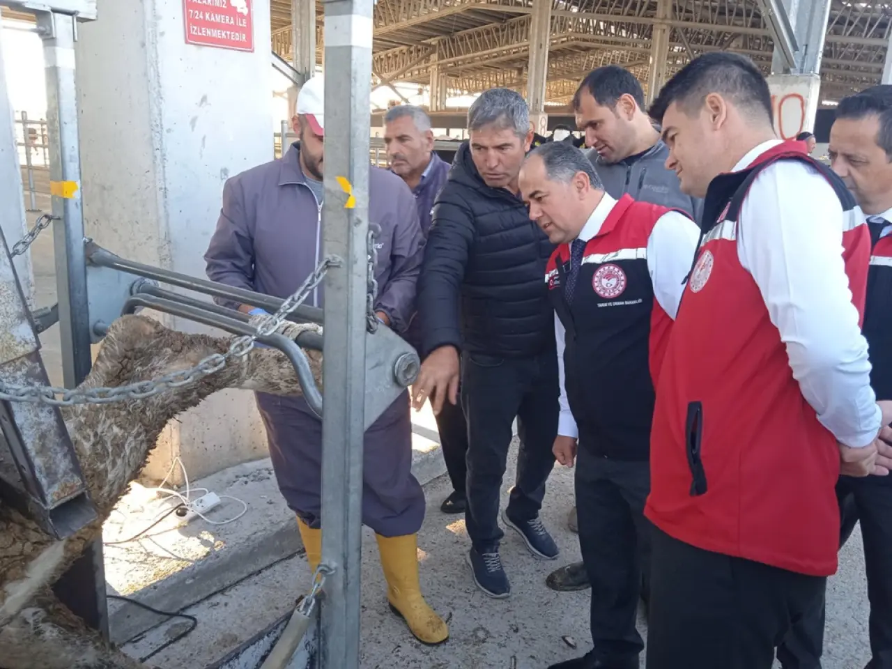 Hayvan Pazarı Kapılarını Açtı 5