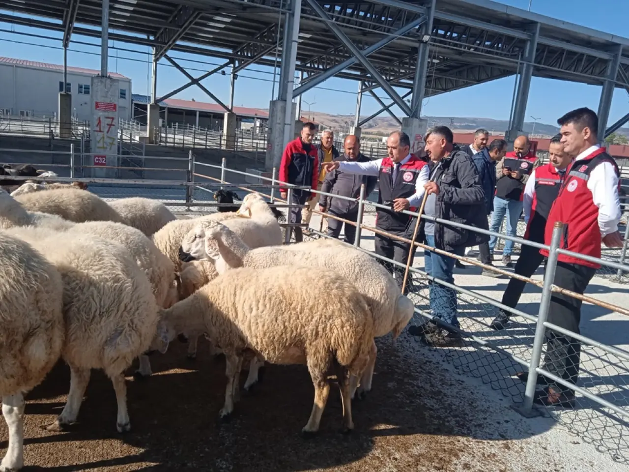 Hayvan Pazarı Kapılarını Açtı 4