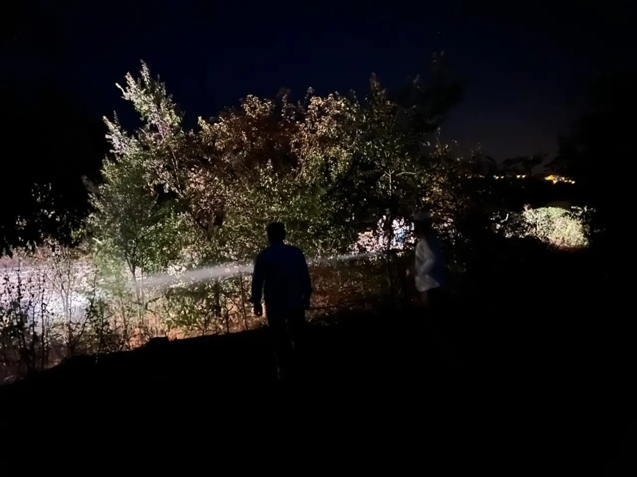 Yol Kenarında Çıkan Yangın Söndürüldü 2