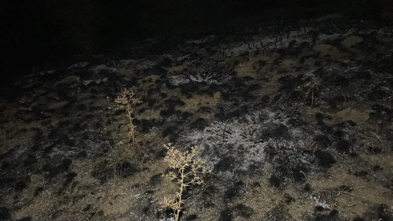 Arazi Yangının Ormana Sıçramasını Ekipler Önledi 2