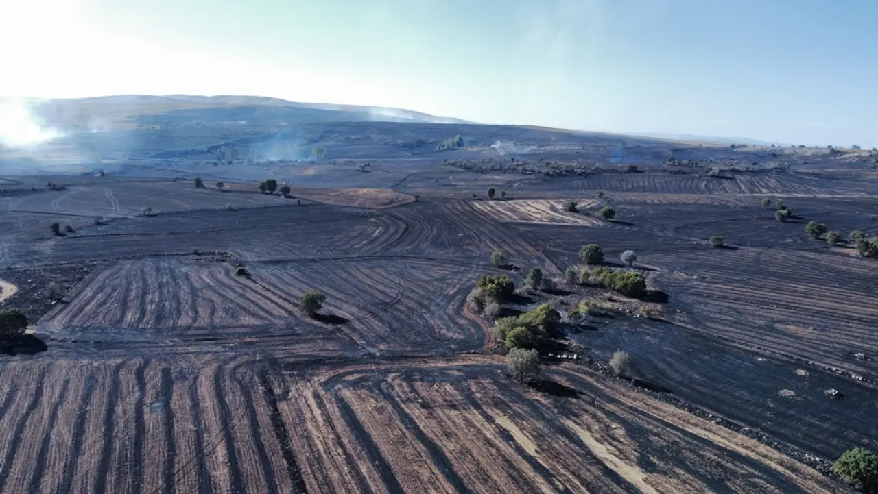 Tarım Arazisindeki Yangın Ormanlık Alana Sıçradı 2