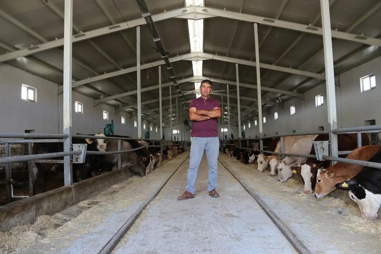 Hayvancılığa 43 Milyon Avroluk Hibe Desteği 2