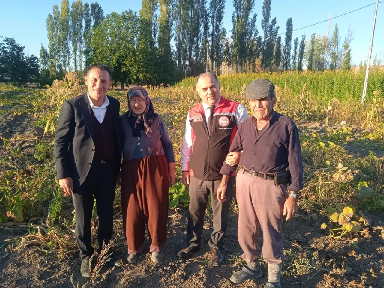 ‘Kuraklığa Rağmen Slajlık Mısırda Yüksek Verim Var’ 1