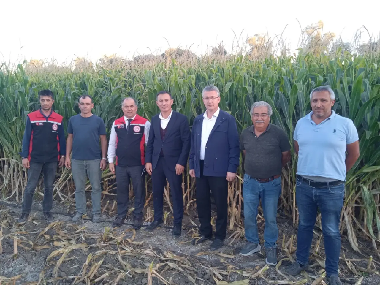 ‘Kuraklığa Rağmen Slajlık Mısırda Yüksek Verim Var’ 2