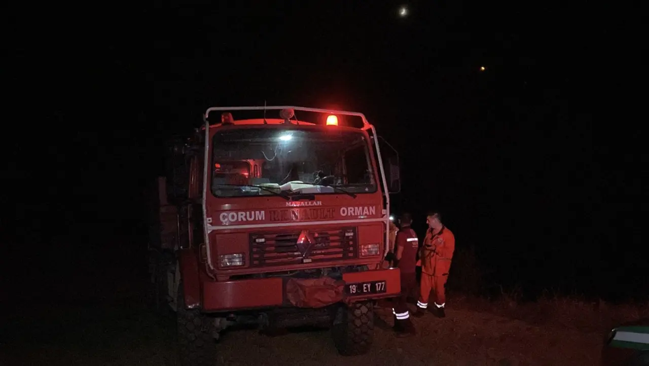 Arazi Yangının Ormana Sıçramasını Ekipler Önledi 4