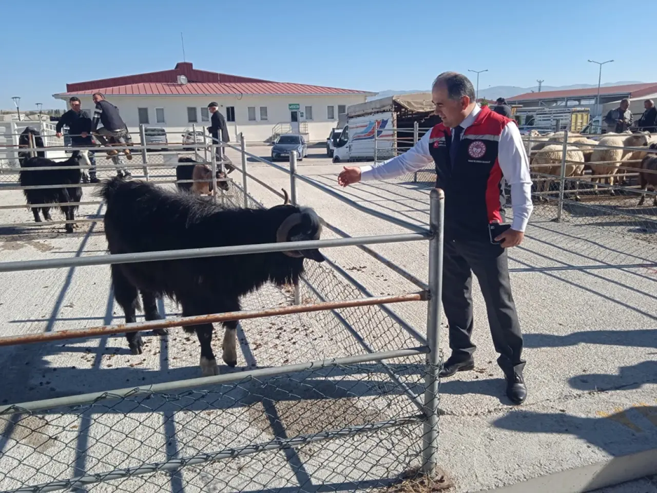 Hayvan Pazarı Kapılarını Açtı 6