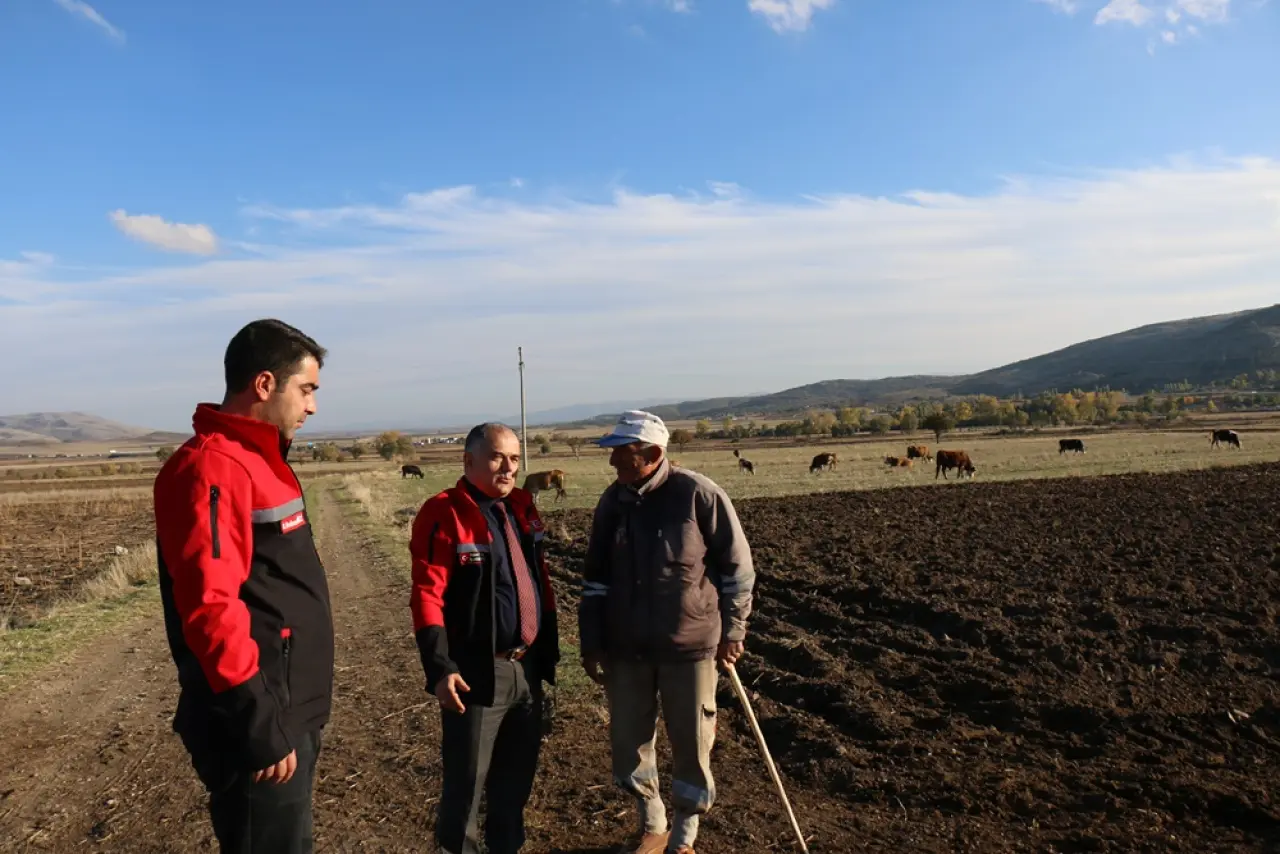 Safran Ekimi Yaygınlaşıyor 5