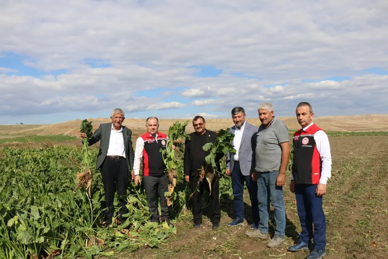 Hasat ve Depolamaya Yerinde İnceleme 1