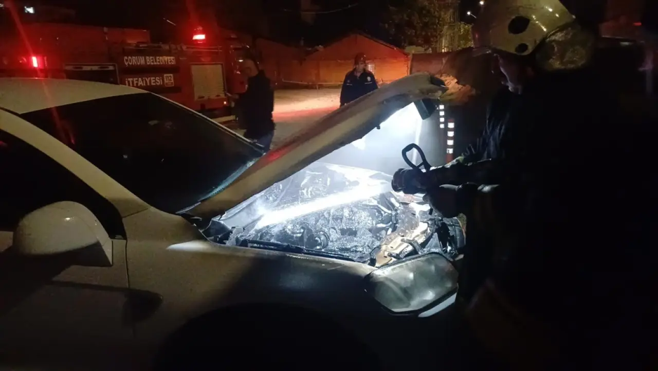 Park Halindeki Cipi Küle Dönmekten İtfaiye Kurtardı 1
