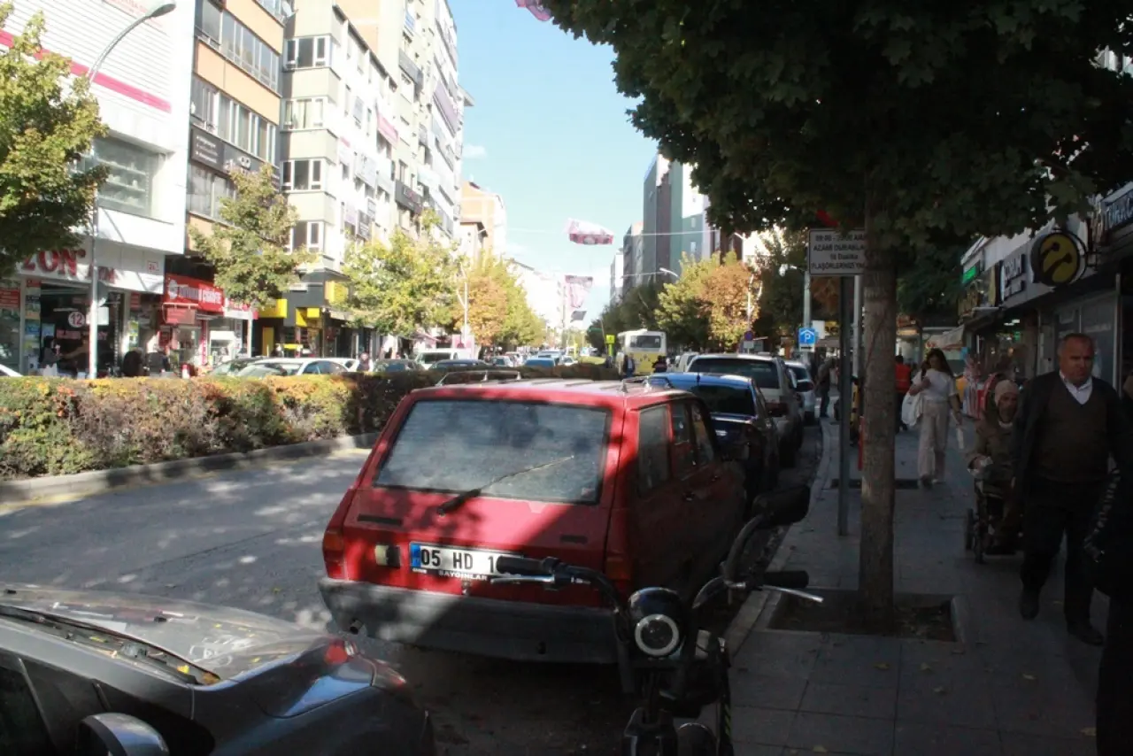 Çorum’da Böcek İstilası Alarmı! 1