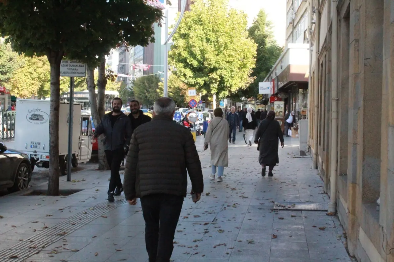 Çorum’da Böcek İstilası Alarmı! 12