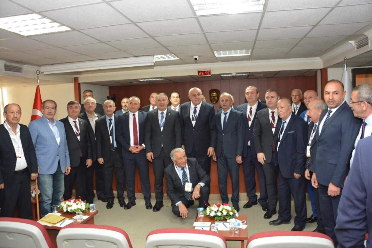 Ahmet Pehlivan, Denetim Kurulu’nda 2