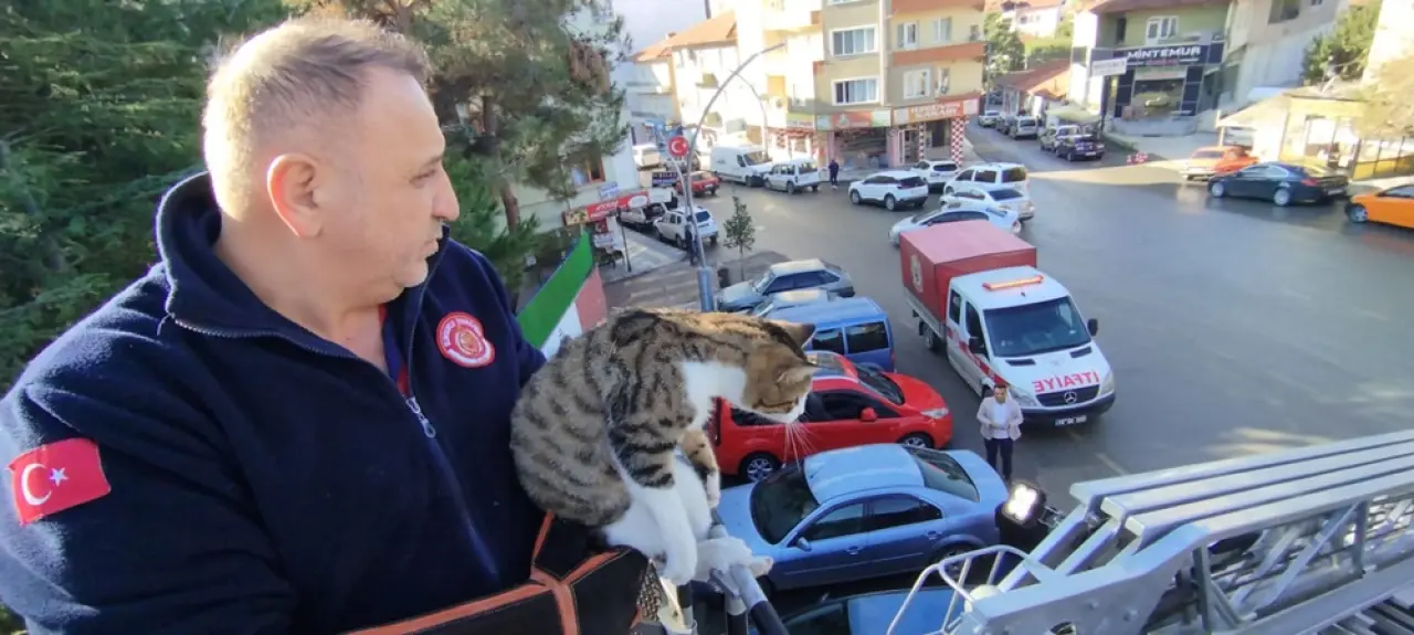 Çatıda Mahsur Kalan Kediyi İtfaiye Kurtardı 1