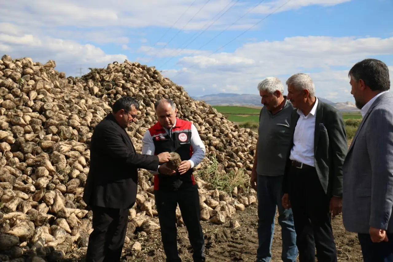 Hasat ve Depolamaya Yerinde İnceleme 2