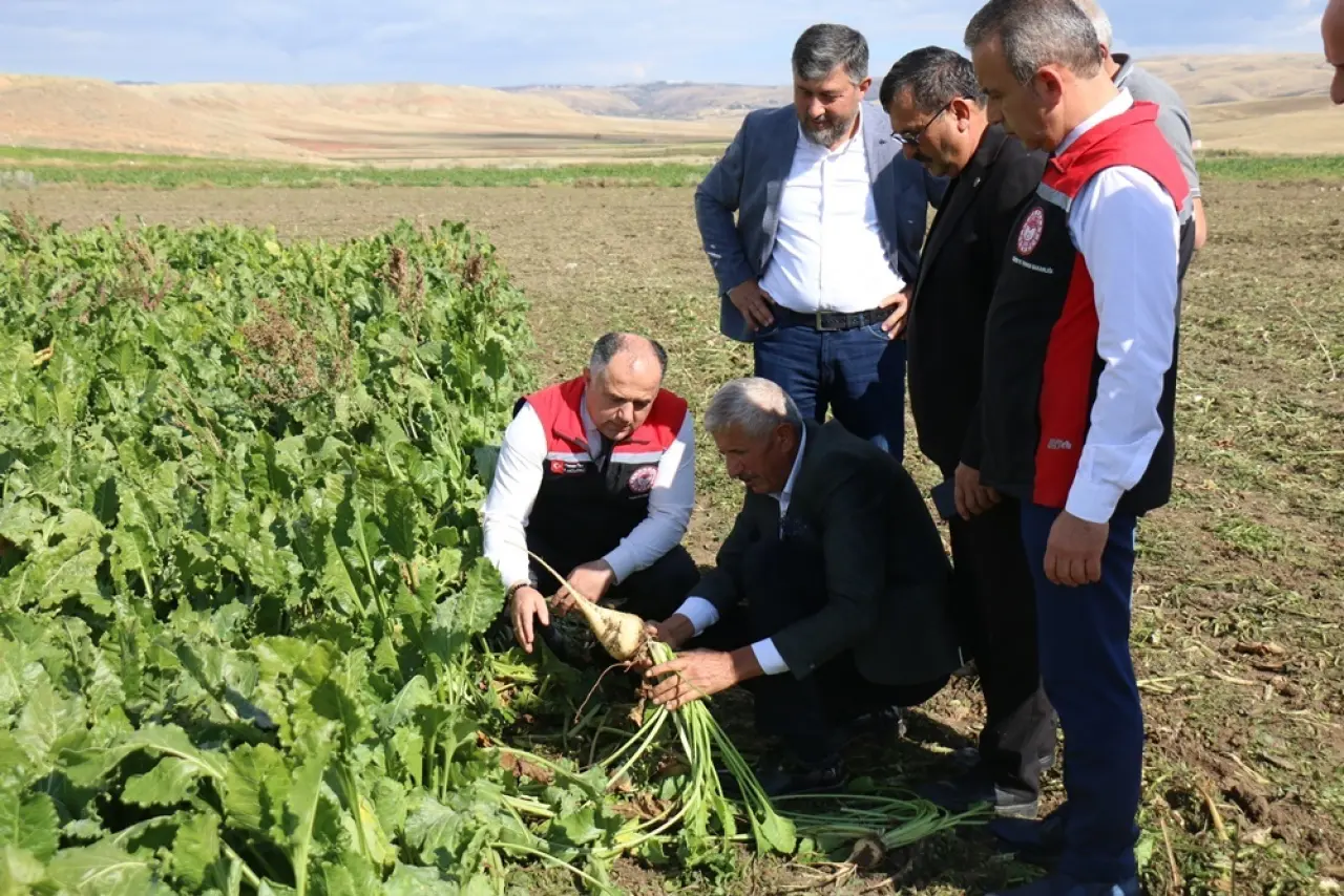 Hasat ve Depolamaya Yerinde İnceleme 3
