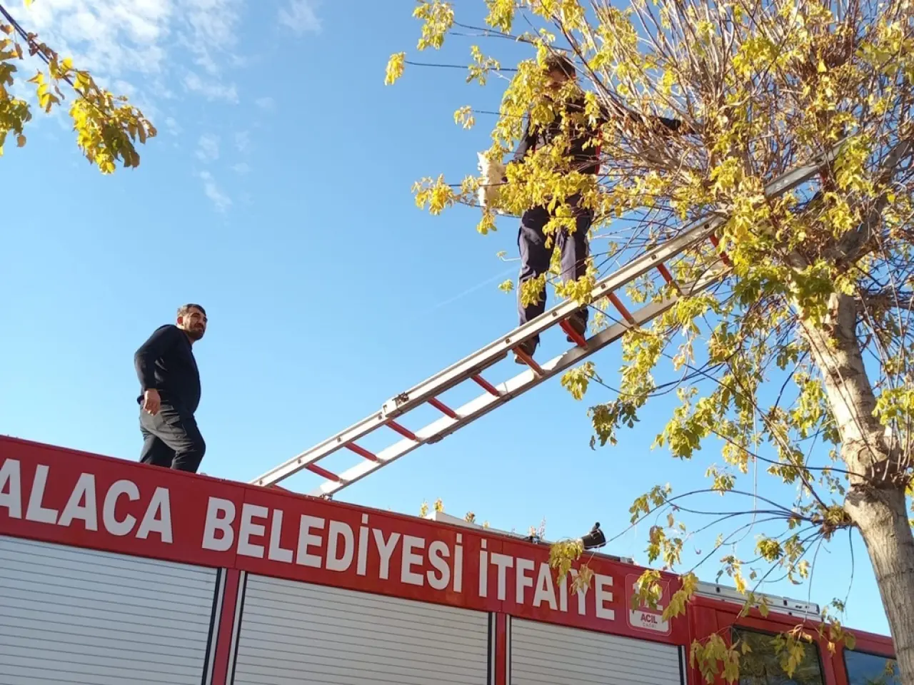 Mahsur Kalan Yavru Kedi İtfaiye Ekiplerince Kurtarıldı 2
