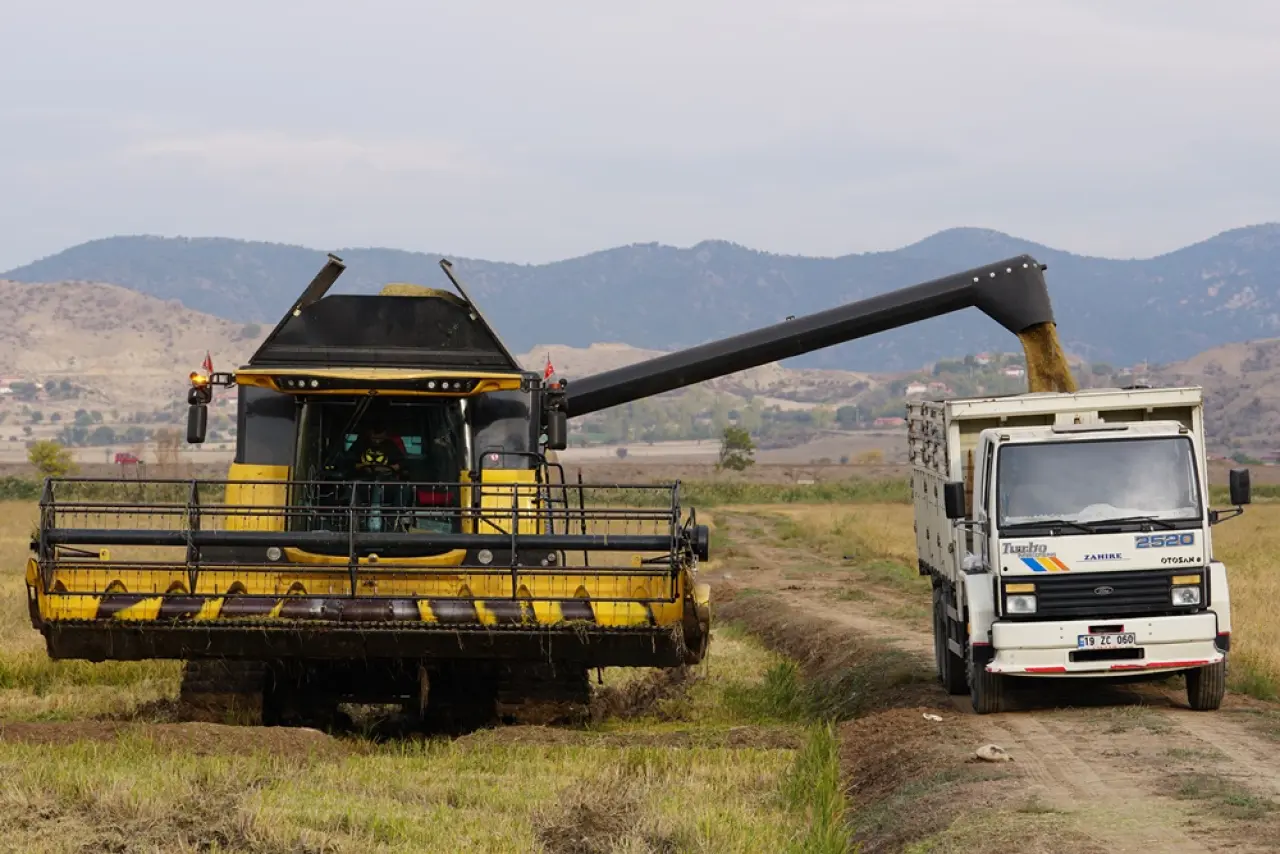 Modern Kurutma Pirinçte Lezzet ve Verim Kalitesini Artırıyor 2
