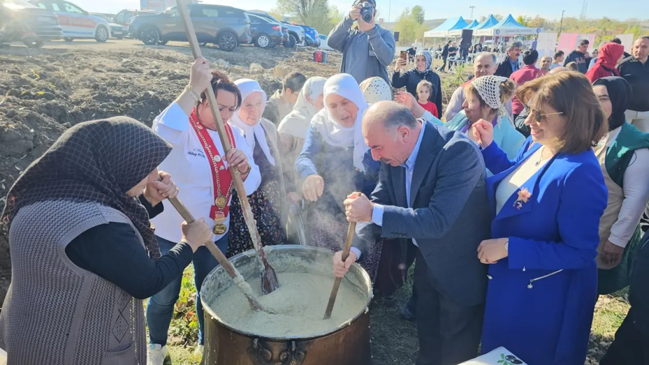 Safran Hasat Şenliği Yapıldı 4