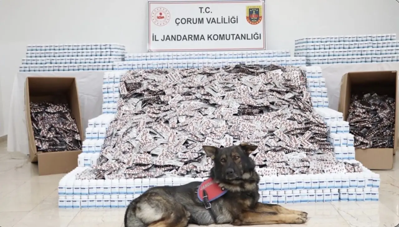 736 Bin 217 Uyuşturucu Hap Ele Geçirildi 4