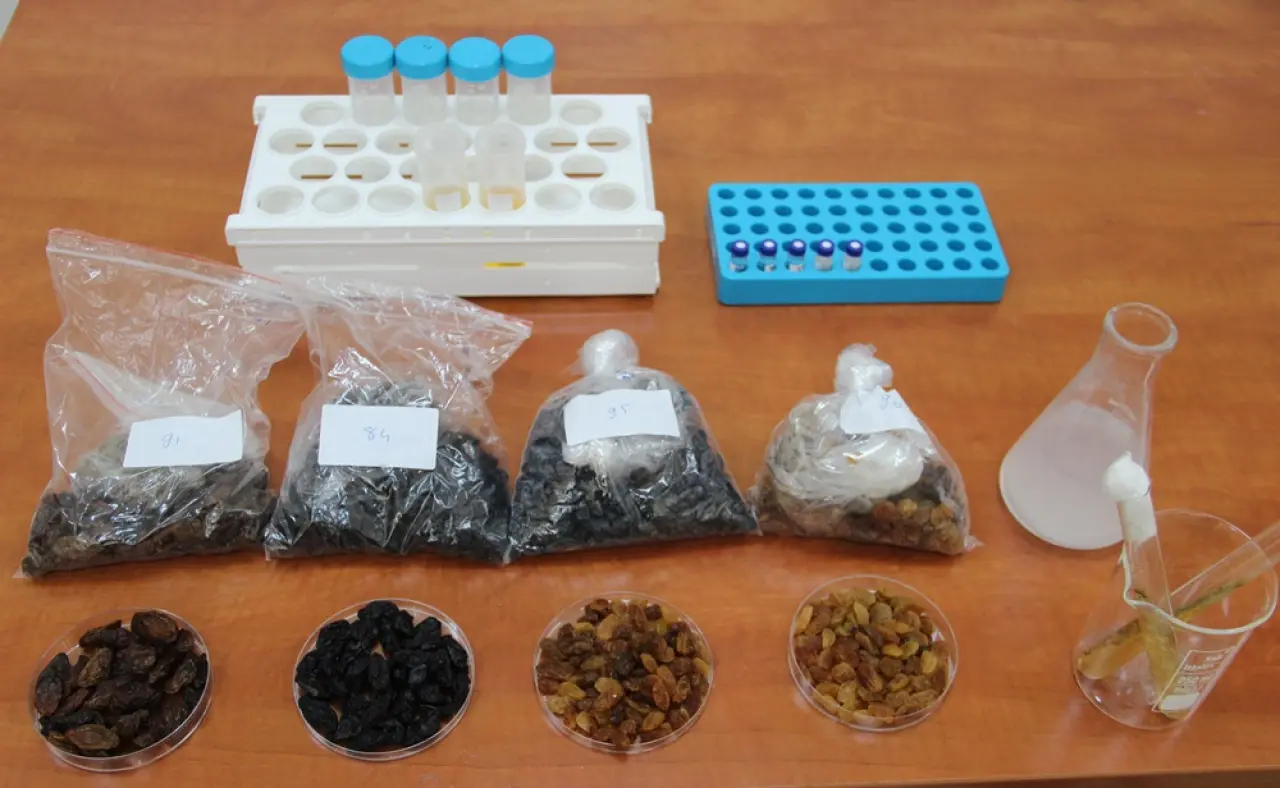 500 Milyon Dolarlık İhracata Bilimsel Kalkan 4