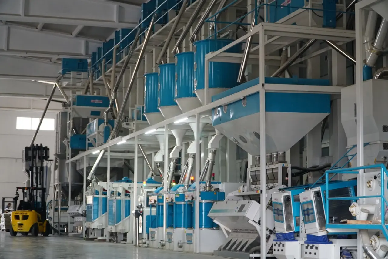 Modern Kurutma Pirinçte Lezzet ve Verim Kalitesini Artırıyor 5