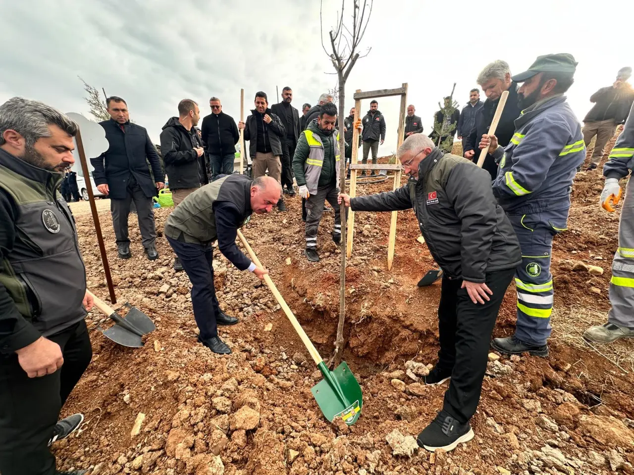 Yeni Ormanda İlk Ağaçlar Toprakla Buluştu 8