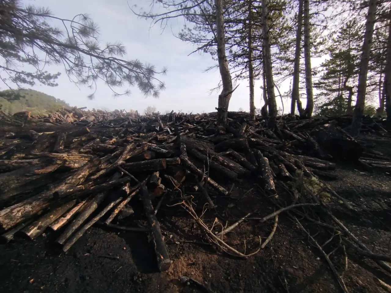 Kesim Sahasında Yangın Paniği 3