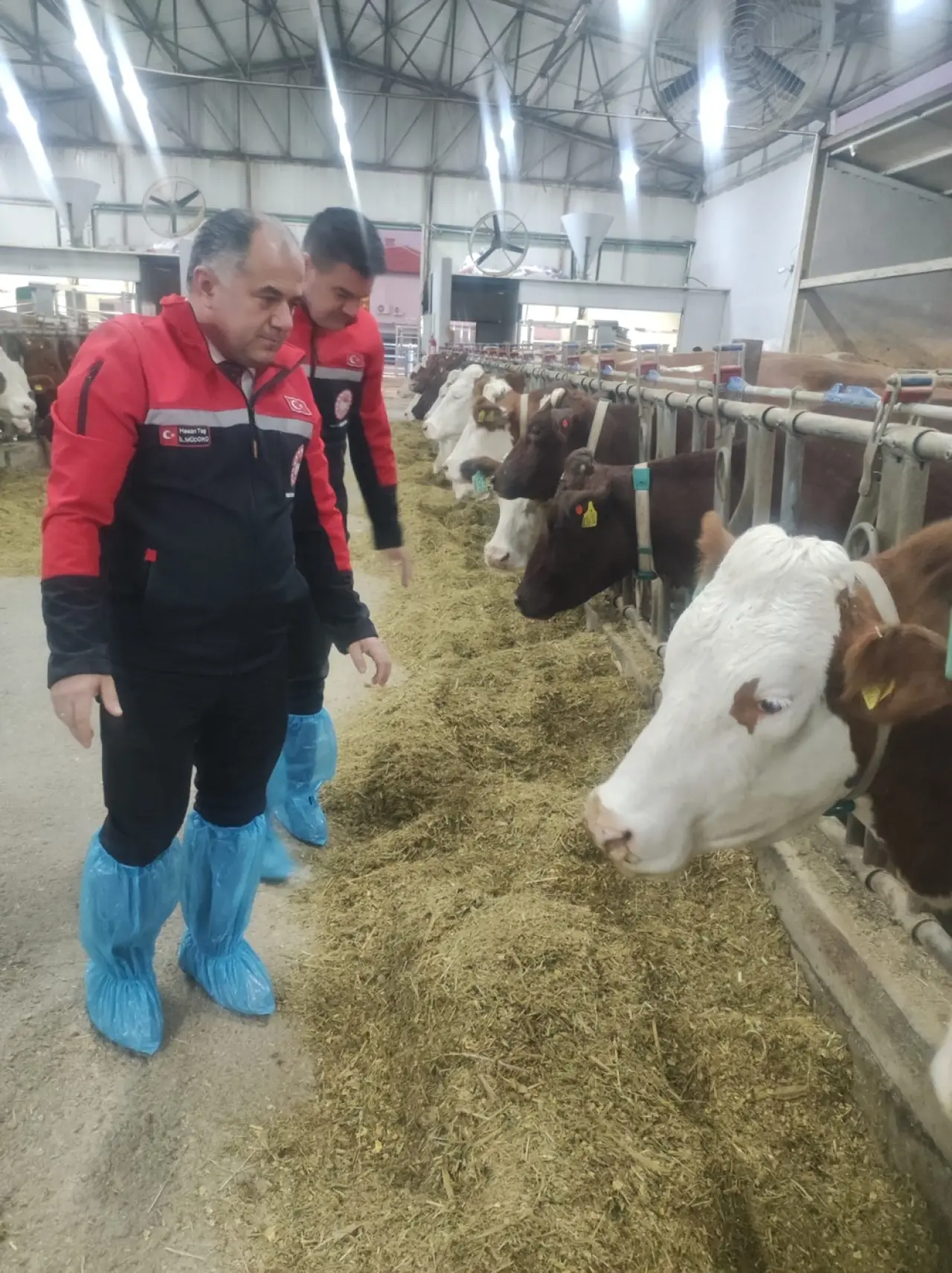 Hayvancılığa ‘Robot’ Eli Değdi 4